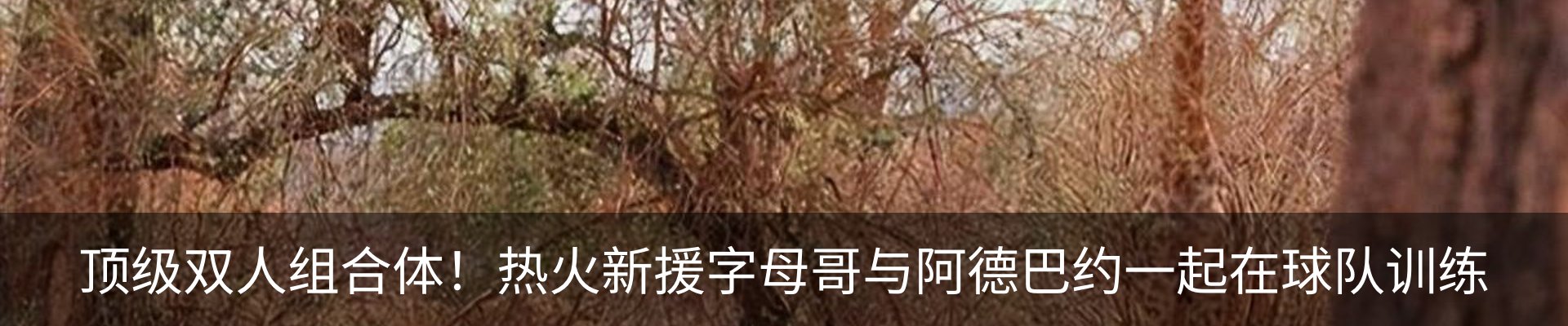 行业资讯